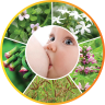 Cơ chế của Mabio