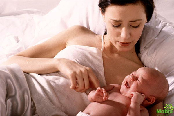 ăn gì lợi sữa ăn gì lợi sữa