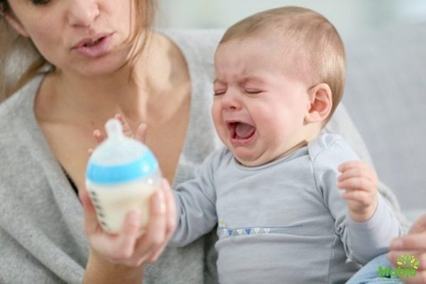 Sữa mẹ bị hư hỏng, quá hạn bé sẽ không thích bú