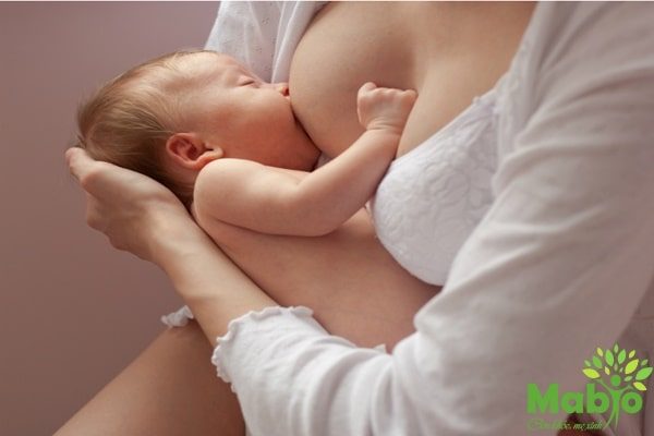 5 lý do cho các mẹ sau khi sinh nên ăn quả vú sữa!