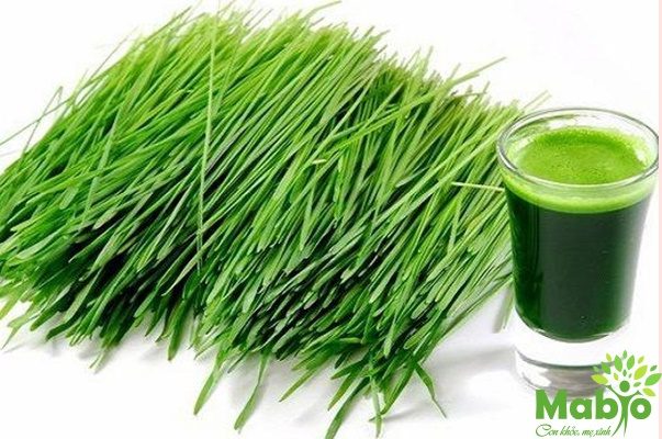 Phụ nữ sau khi sinh ăn lá hẹ và những điều không thể ngờ tới!