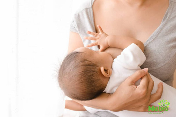 Càng cho bé bú nhiều càng kích thích tuyến sữa hoạt động
