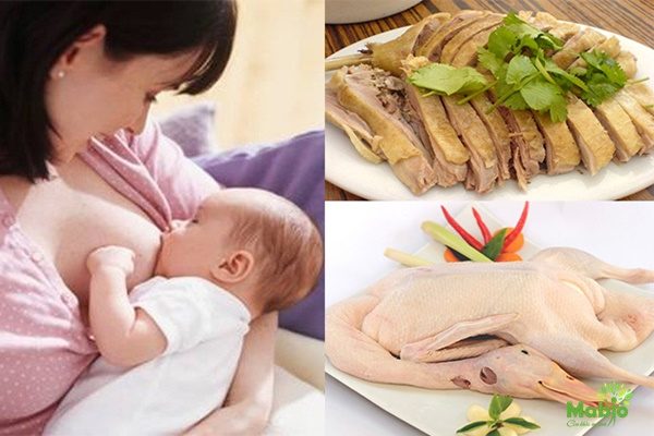 Thịt ngan là món ngon và bổ dưỡng nhưng phụ nữ sau sinh có nên ăn?