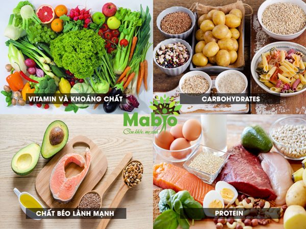 Xây dựng một chế độ ăn dinh dưỡng